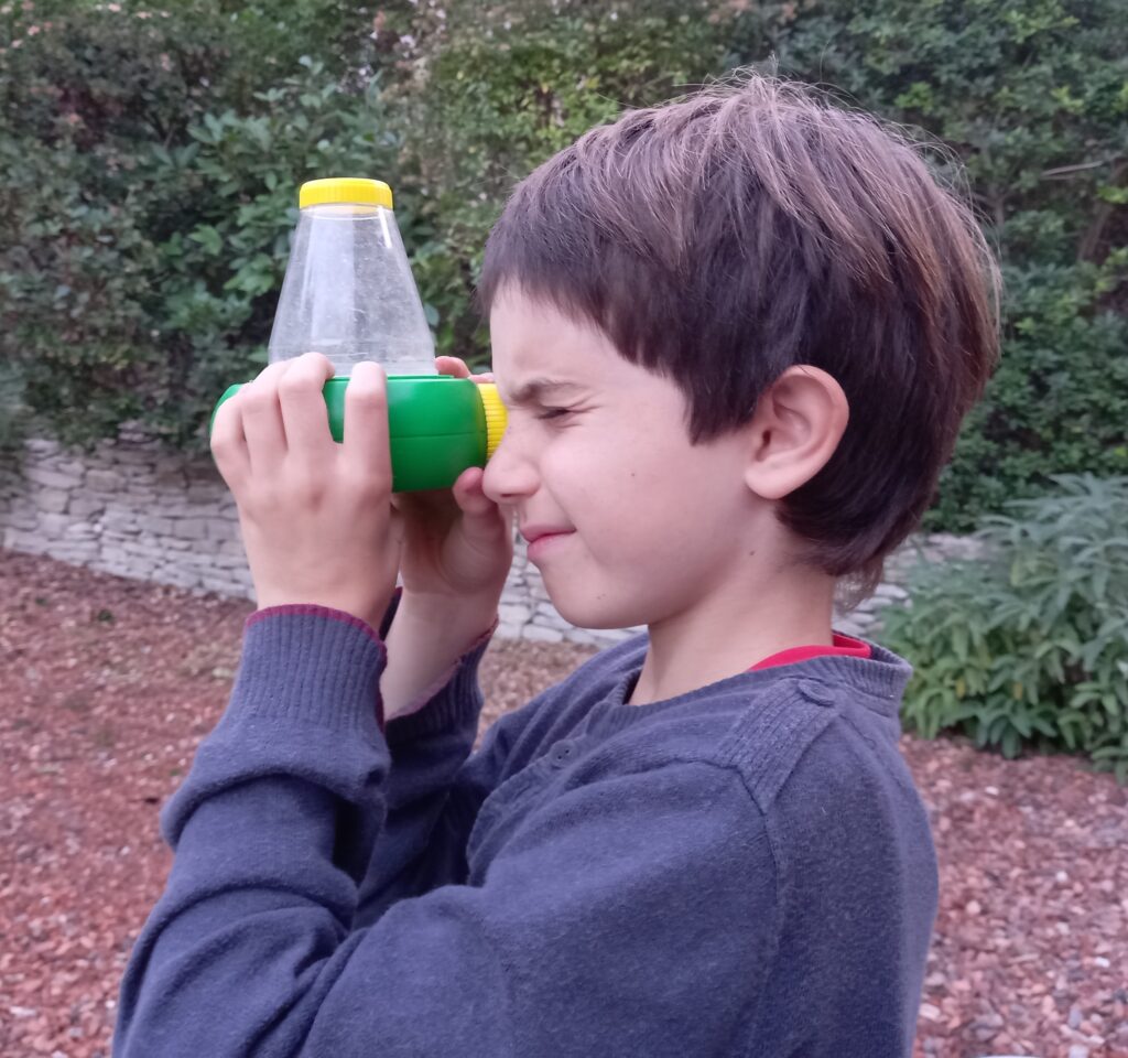 Enfant observant les insectes capturés dans une fiole.